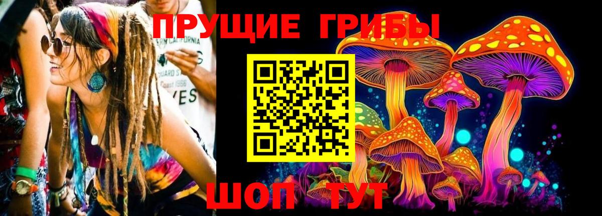 Мариинск  Галлюциногенные грибы Cubensis  Псилоцибиновые грибы мицелий  Вход с VPN 