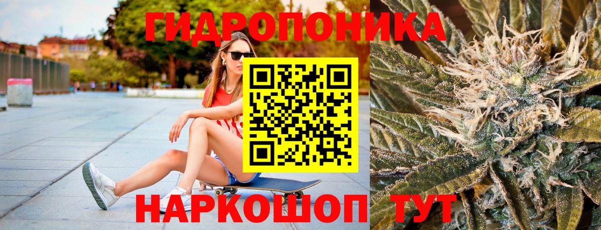Конопля ГИДРОПОН  МАРИХУАНА White Widow  Конопля семена  Вход с VPN  Шишки марихуана сатива  Мариинск 
